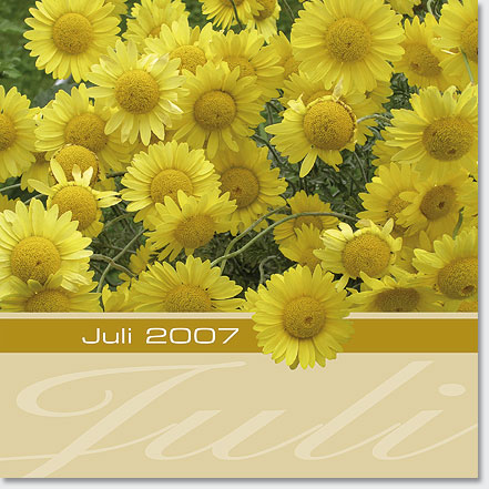 Gestaltung Kalender 2007 - Juli