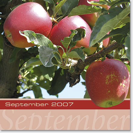 Gestaltung Kalender 2007 - September