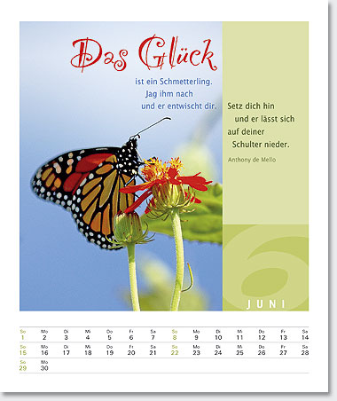 Gestaltung Kalender 2008 - Juni