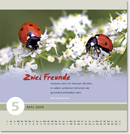 Gestaltung Kalender 2009 - Mai