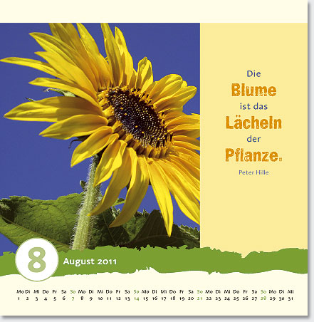 Gestaltung Kalender 2011 - August